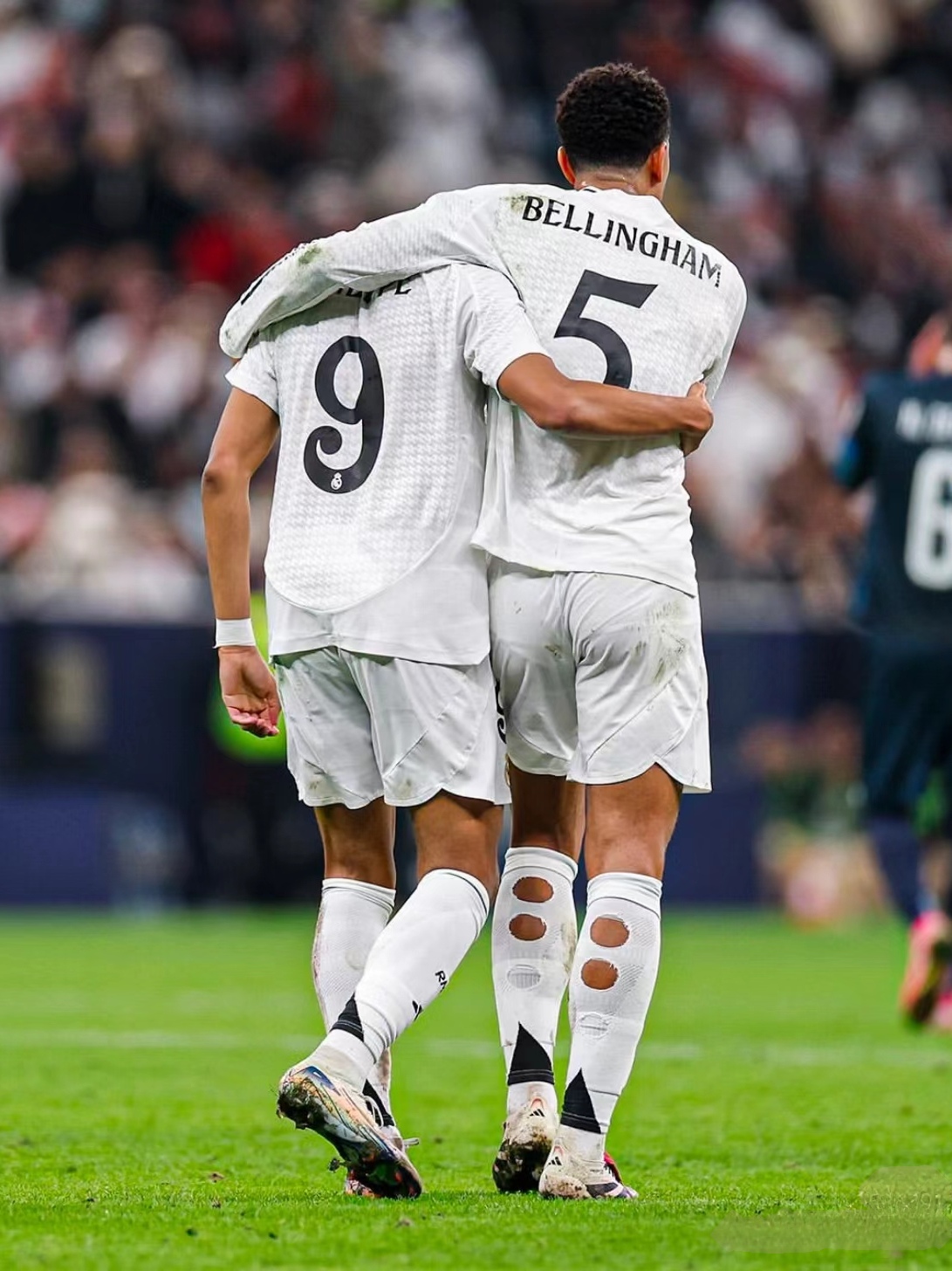 引擎中排名 引擎中排名