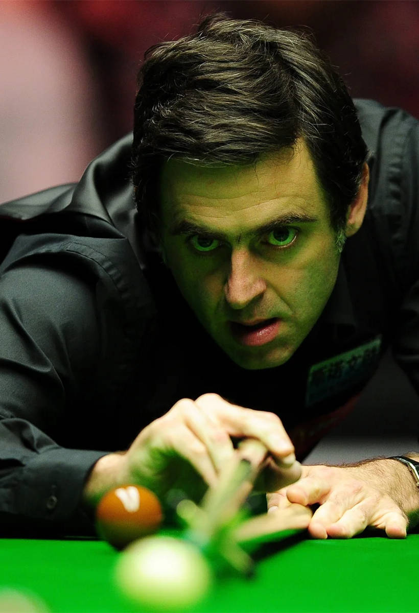 提供了强有 提供了强有