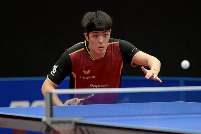 出色表现 出色表现