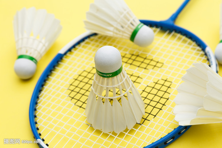 取得显著增 取得显著增