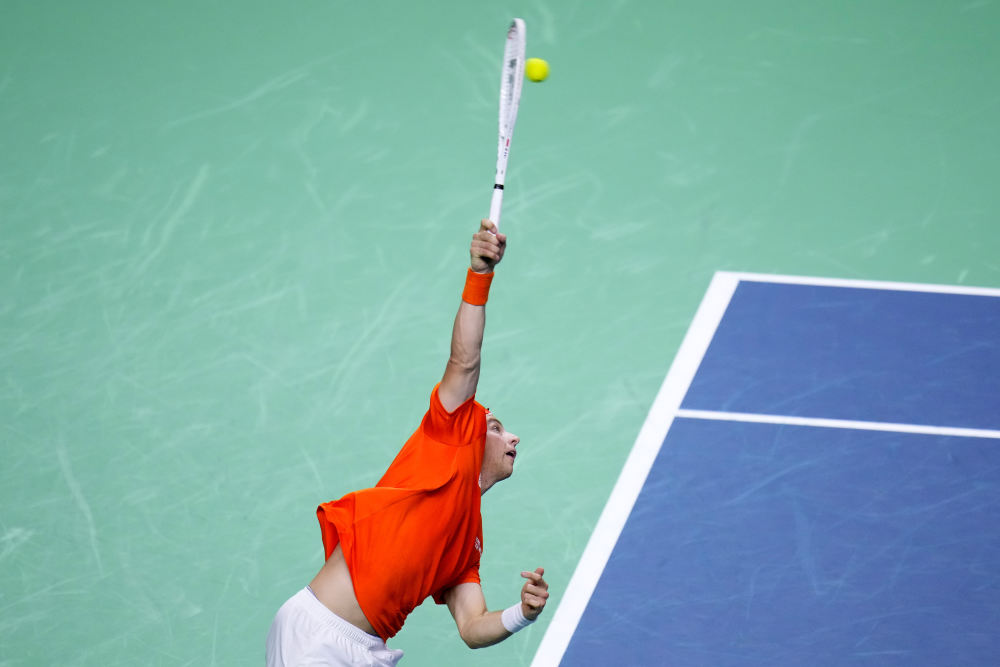 体主导的奖 体主导的奖