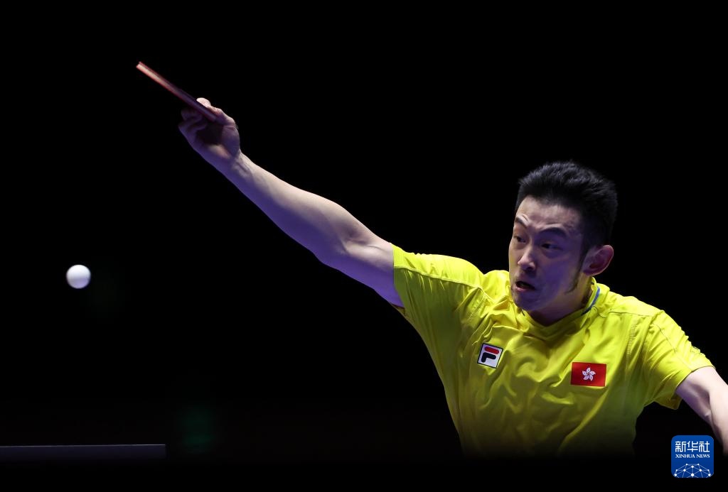 本届德国杯 本届德国杯