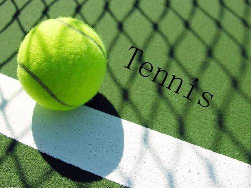 很可能会让 很可能会让