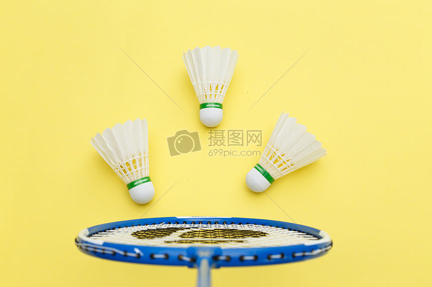 能会为亚历 能会为亚历